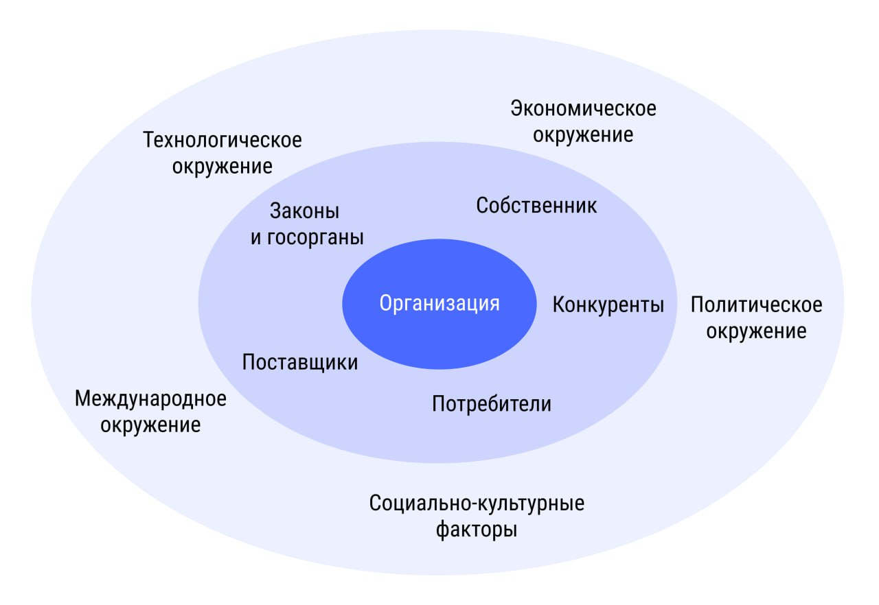 Какие внешние факторы, влияют на организацию