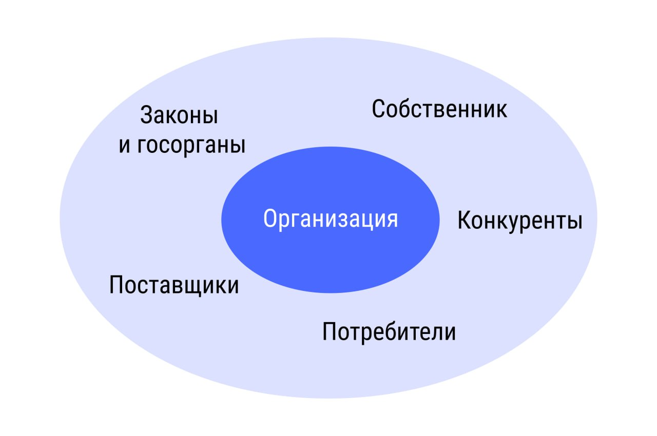 Какие внешние факторы, влияют на организацию